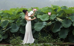 成人动态qq表情